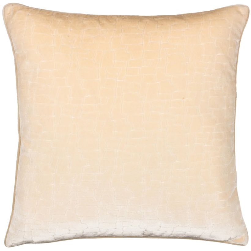 Luxurious Ivory Velvet Cushion by Bloomsbury